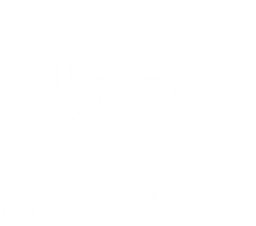 Fachhochschule Salzburg GmbH logo