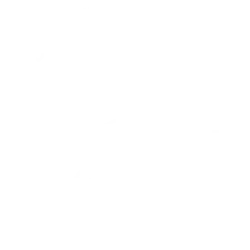Aarhus University logo