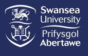 Navitas UK – The College, Swansea University